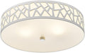Modern 2‑Light Flush Mount Ceiling Light