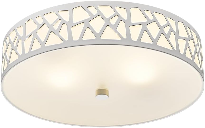 Modern 2‑Light Flush Mount Ceiling Light
