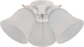 White LED Ceiling Fan Light Kit
