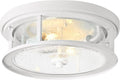 White Seeded Glass Flush Mount Ceiling Light Fixture