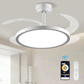 Smart Retractable Ceiling Fan With Lights