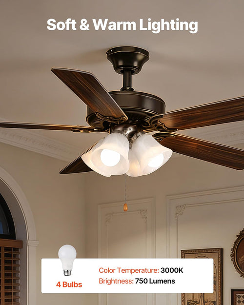 Brushed Nickel Ceiling Fan Light Kit
